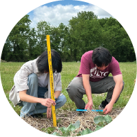 Two students crouch in a grassy field to measure small plants using a long yellow ruler and a blue measuring tool.