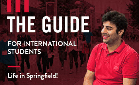 Guide GIF